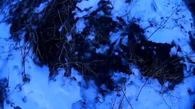Паркур на бревна и ОГРОМНЫЙ ПРЫЖОК