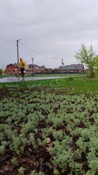 Сегодня дождь добавил +100% к эпичности моей пробежки. И +300% к желанию затопить сегодня баню.😂 #
