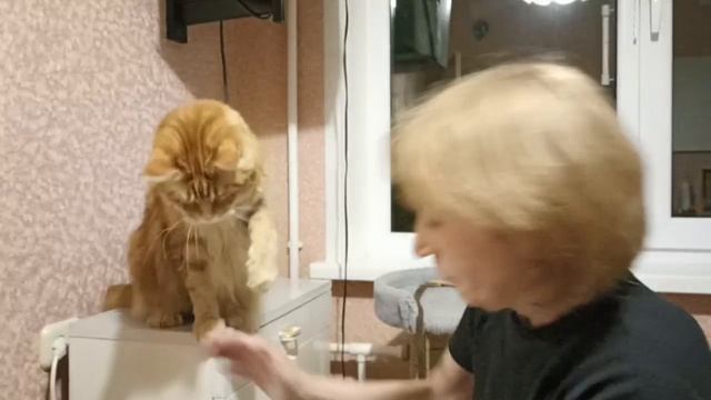 Вы что это едите и со мной не делитесь? А ну ка бабуленька дай мне сюда кусок мяу