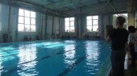 Соревнования по плаванию 2017