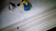 Андертейл рисунки и фигурки