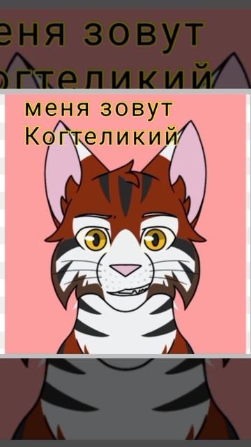 1000009976.mp4