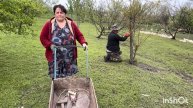 В саду ——лабиринты,хорошая это идея?