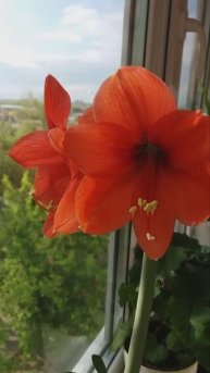 С 1 мая