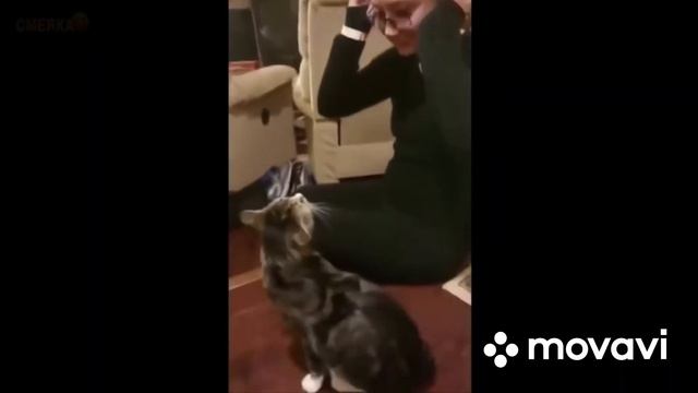 Лучшие приколы