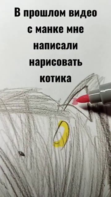 котик не очень красивый🥲