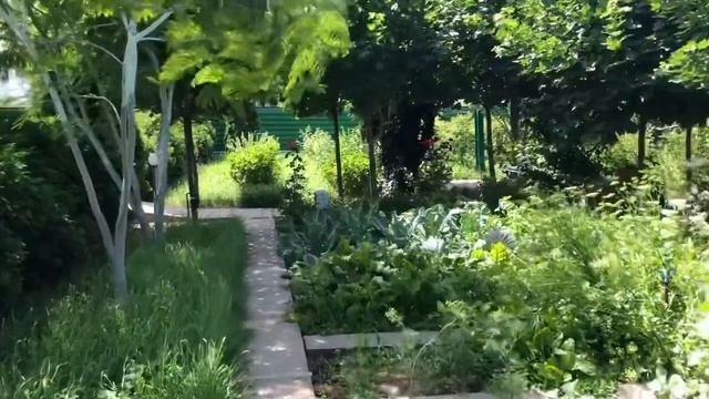 Французские бульдоги узнают цену 1 рублю