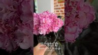 🐇🌸АВ-Шелковые Розы. Когда речь идёт о потенциале и качестве - всегда вспоминаю этот сорт. Прекрасн