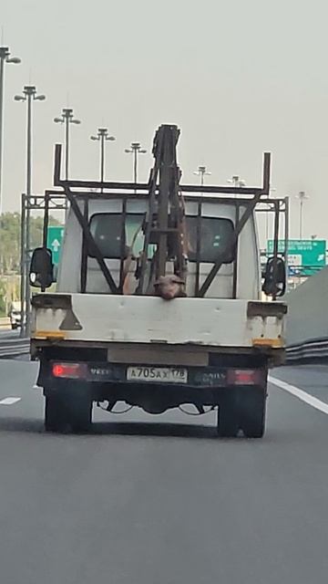 Был случай )))