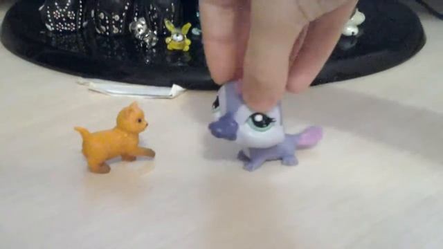 Мой кот любит хип хоп
