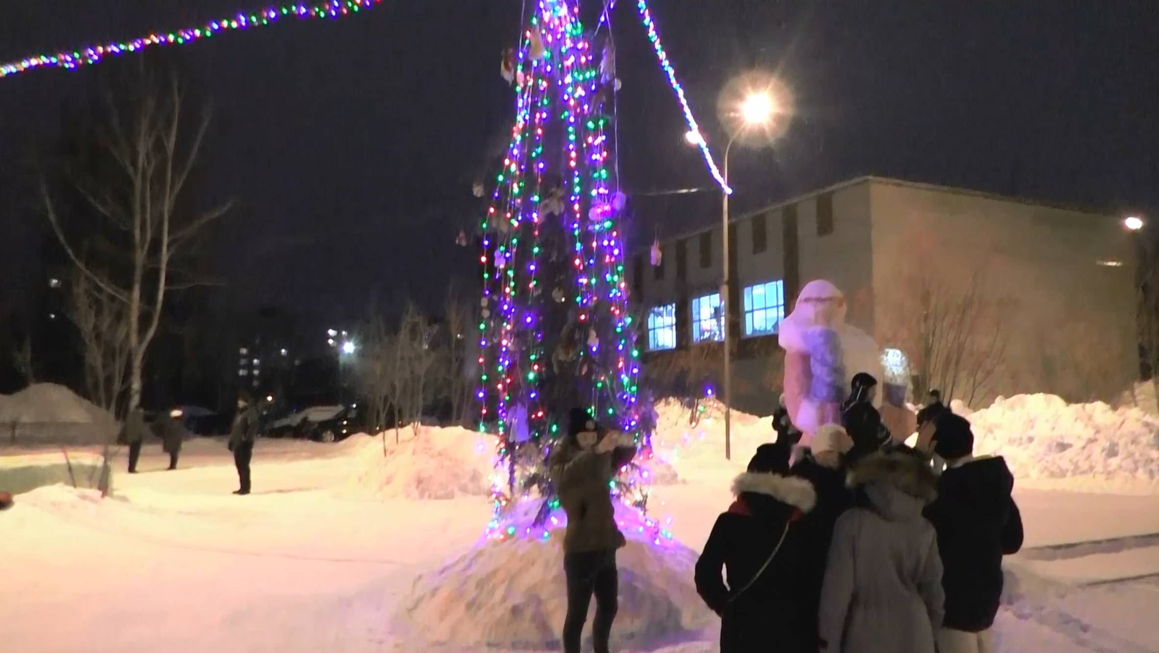 Новосибирск, микрорайон "Снегири", Новогодняя елка 2015-2016
