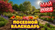 Лунный календарь на МАЙ 2025: Когда сажать, чтобы собрать рекордный урожай?