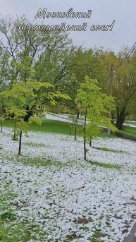 Московский первомайский снег!❄️ #природа #настроение #шутка