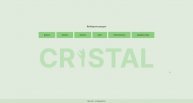 CRistal программа сборки и регулировки дизельных форсунок Common Rail