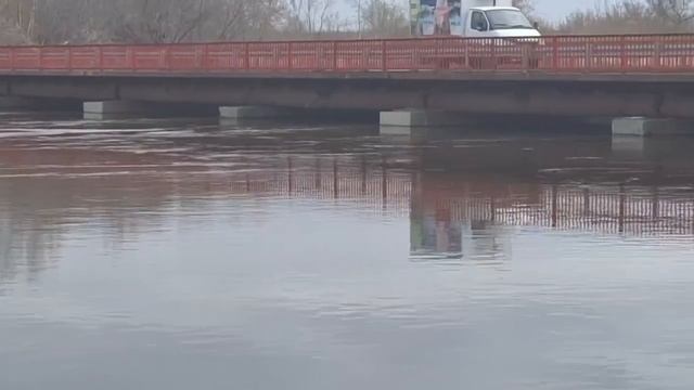 под Мало-Чаусовским мостом