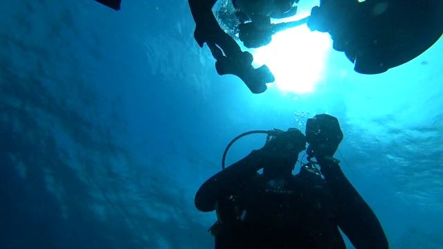 Diving in Mnemba Island | Zanzibar | Tanzania | dolphins | ЗАНЗИБАР | Танзания| Дельфины о. Мнемба!