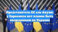 Представитель ЕС аль-Ануни: у Евросоюза нет планов быть посредником по Украине