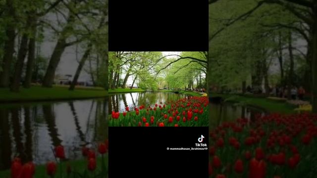 02-05-2025
