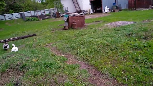 Чудеса природы
