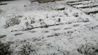 Выпал снег 2 мая