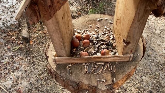 Ягом, Нижневартовск