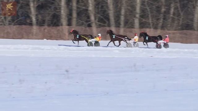 1 заезд 8 01 2022