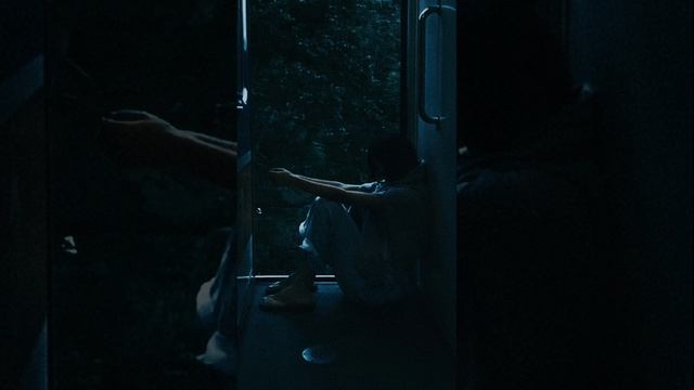 Дельфин - глаза