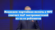 Медведев: партийная мелочь в ФРГ считает АдГ экстремистской из-за ее рейтингов