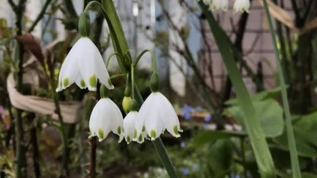 2 мая - Иван Ветхопещерник. Традиции и народные приметы