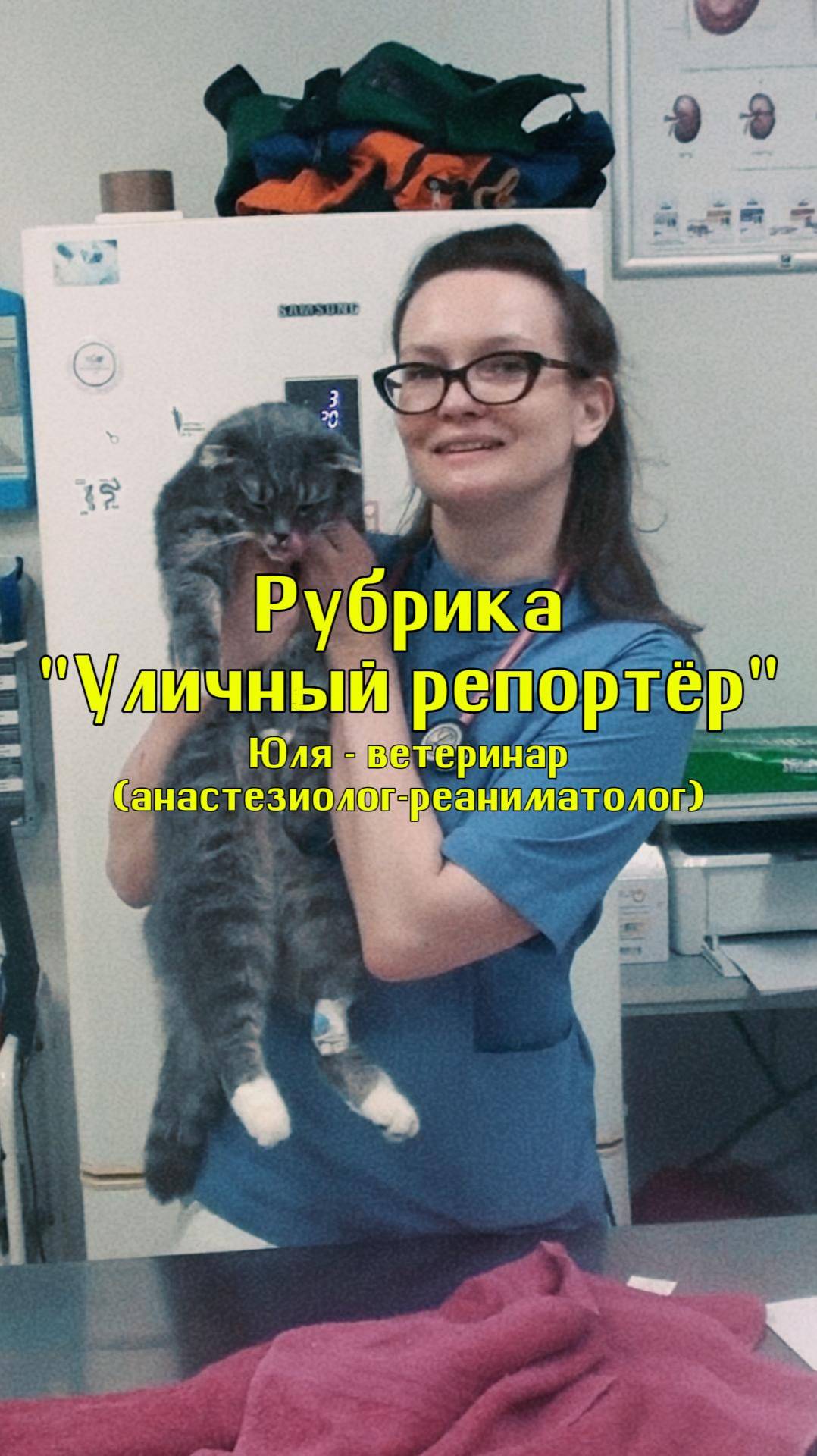 Юля - ветеринар. 
"Мне нравиться спасать жизнь, именно не лечить, а спасать жизнь"