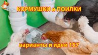 Кормушки и поилки для кур своими руками (157) 🪚✂️ Пошаговая инструкция как сделать 🐔 🐓❣️