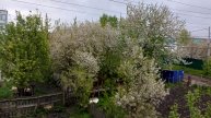 любимый деревенский вид из окна, жизнь в деревне, счастье и уют в деревне