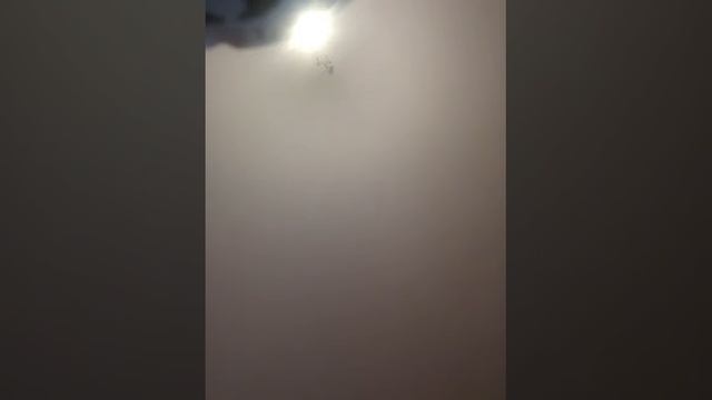 Фан Мод паладин))