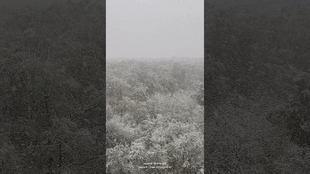 Москва, раннее утро, снегопад 🌨️