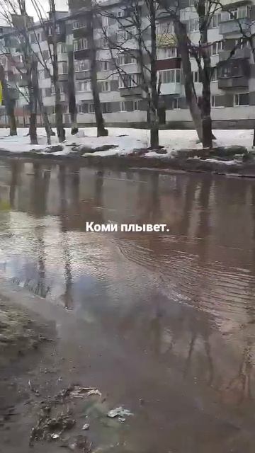 Коми #Сыктывкар #весна #океан#Россия