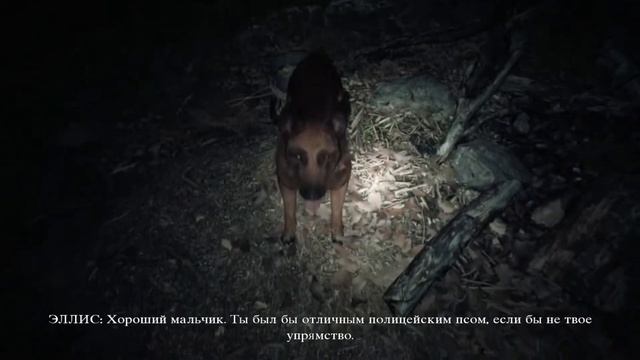 Проходим Blair Witch