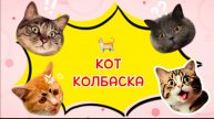 КОТ 🐈 КОЛБАСКА, прикольные и веселые фигурки, песенки и видео для детей