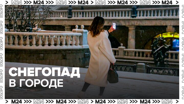 Москвичи поделились снимками снегопада в городе - Москва 24