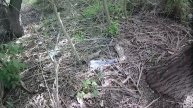 рыбалка на реке кубань 01.05.2025