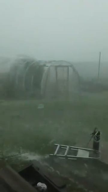 У природы нет плохой погоды. Урожай помидоров будет или нет? Ураган разрушил весь огород😂