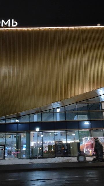 #Международныйаэропорт #БольшоеСавино #Пермь