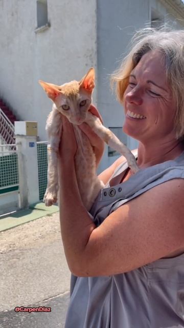 Котэ на борту! Доставка животных Карпен Диаз #deliveryanimals #доставкаживотных #доставкакотят