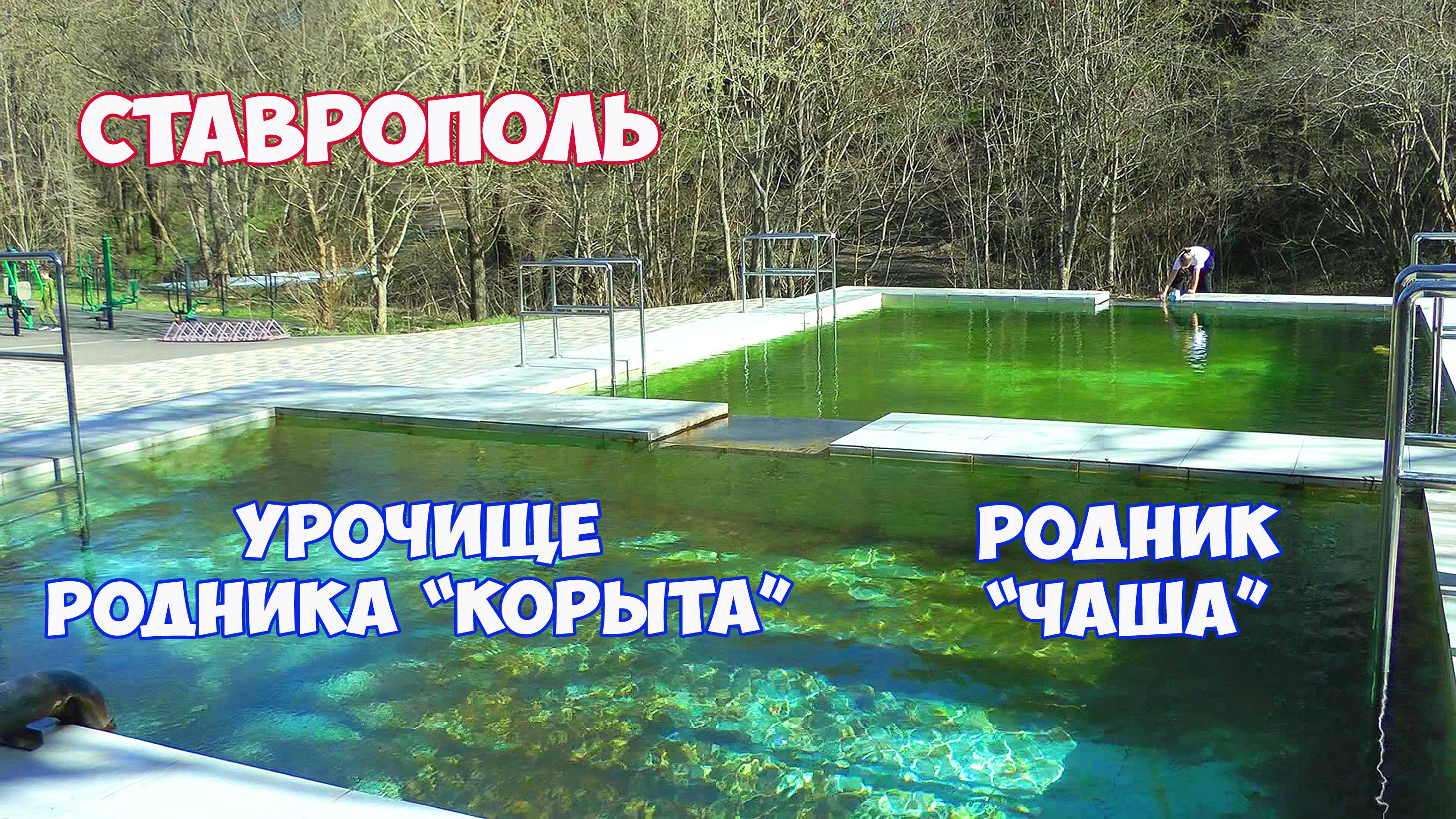 Родник Корыта в Ставрополе. Родник Чаша в Мамайском лесу Ставрополя. Урочище Корыта в Ставрополе