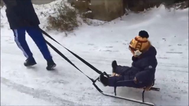 Малыш Артур Зима В Санки Снежки