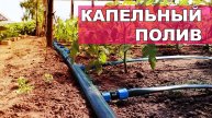 💧 КАК СОБРАТЬ КАПЕЛЬНЫЙ ПОЛИВ СВОИМИ РУКАМИ: полное руководство для новичков!