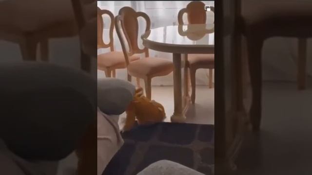 Царь горы.