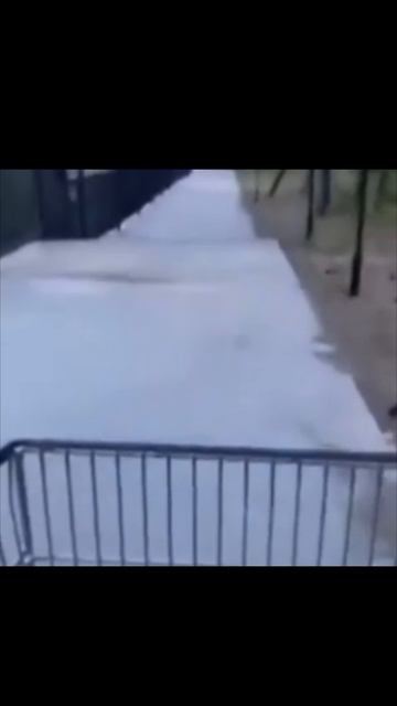 Ыыы тележка
