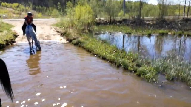 Конный дистанционный пробег 80 км. КСК Исток