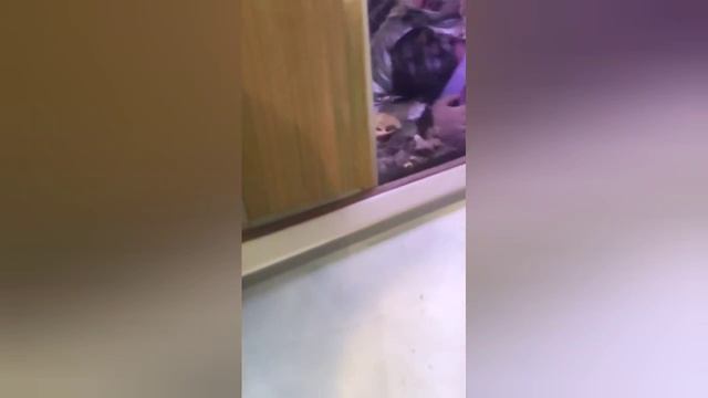 мы в московском зоопарке