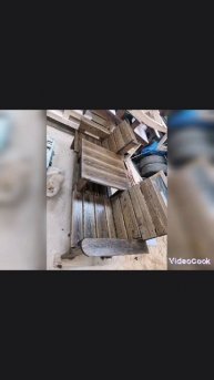 scene_output.mp4